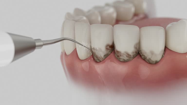 Reliable Dental contractor in New Paris, IN by Dentist Open Now